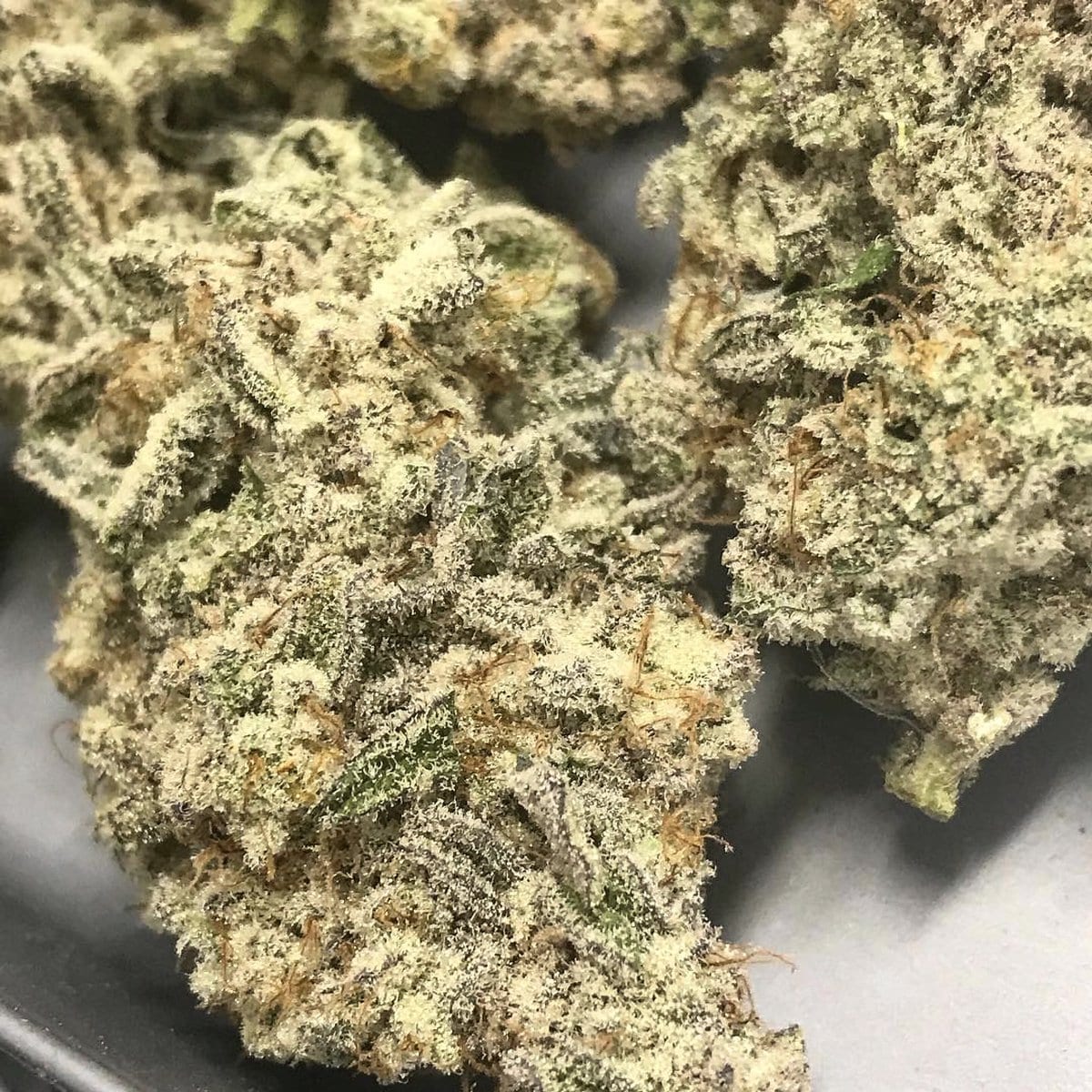 Phat Panda On Twitter   Miracle Alien Cookies Aka âmacâ Bringing
